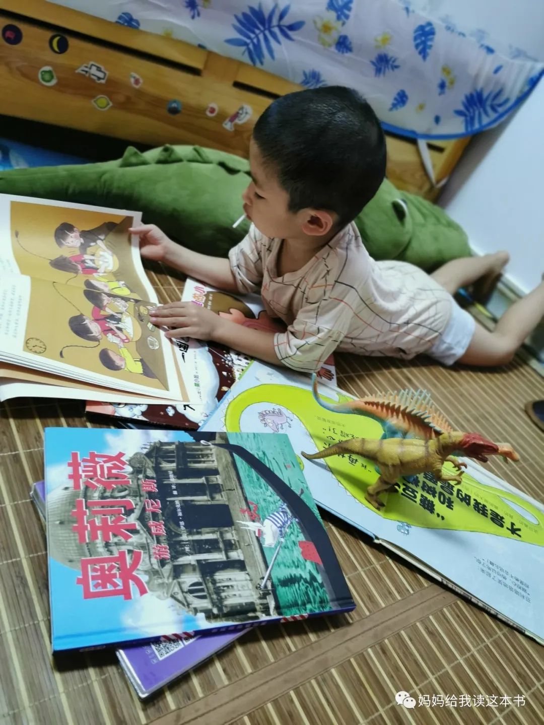 绘本书怎么分类,绘本包罗万象