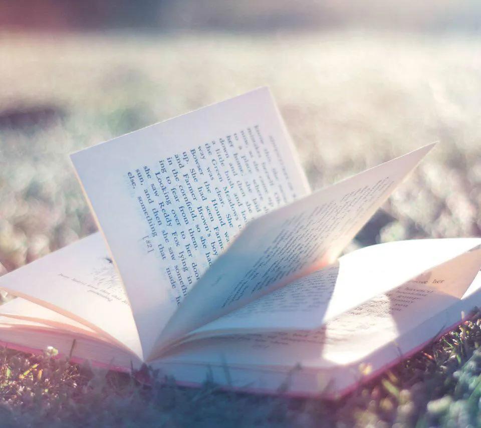 假如生命只剩最后一天,假如我的生命只剩三天作文