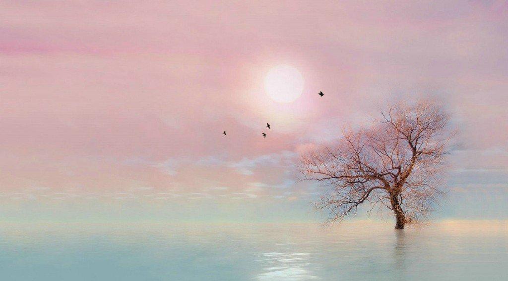 山无棱天地合才敢与君绝诗句,山无棱天地合才敢与君绝古诗