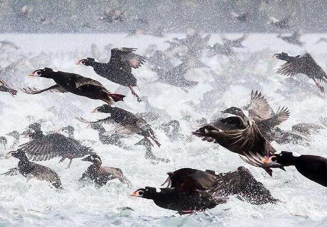 东方财富具备投资价值吗,东方财富的晋级之路