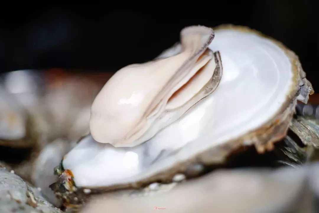 海口小众酒吧指南,海口小酒吧