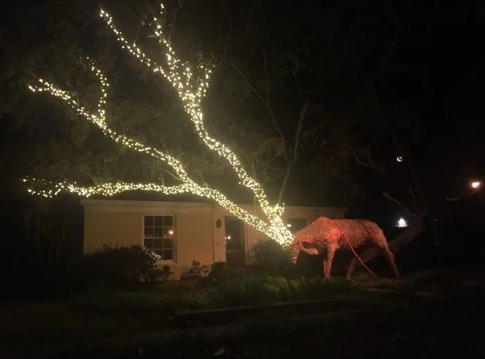 令人惊艳的圣诞节作品,圣诞节创意作品视频