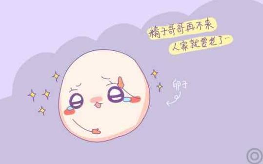 排卵日受孕几率是多少,排卵日受孕的可能性多大