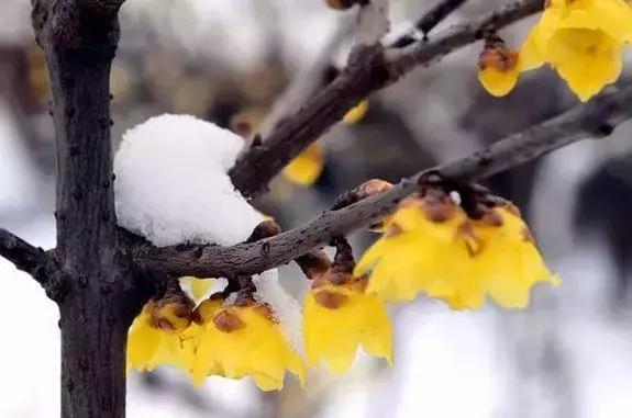 最近郑州有关好消息,郑州东区好消息