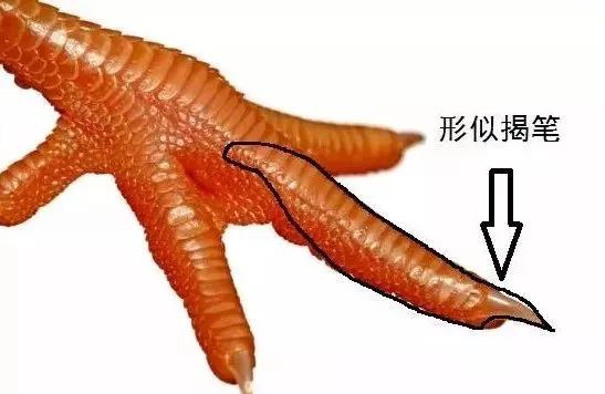 衄挫笔法运笔十三法,藏锋悬针竖毛笔运笔技巧