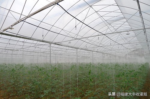 微喷灌溉设备全套喷头,微喷灌溉喷头原理