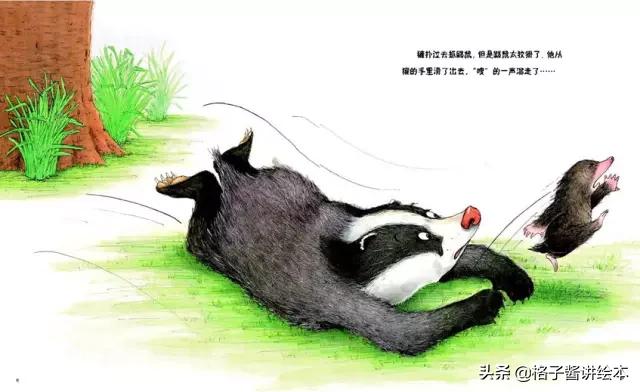 绘本獾的美餐思维导图,獾的美餐绘本故事图片