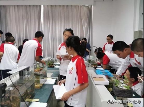 福州私立中学近三年升学率,福州私立初中一三附升学率排名