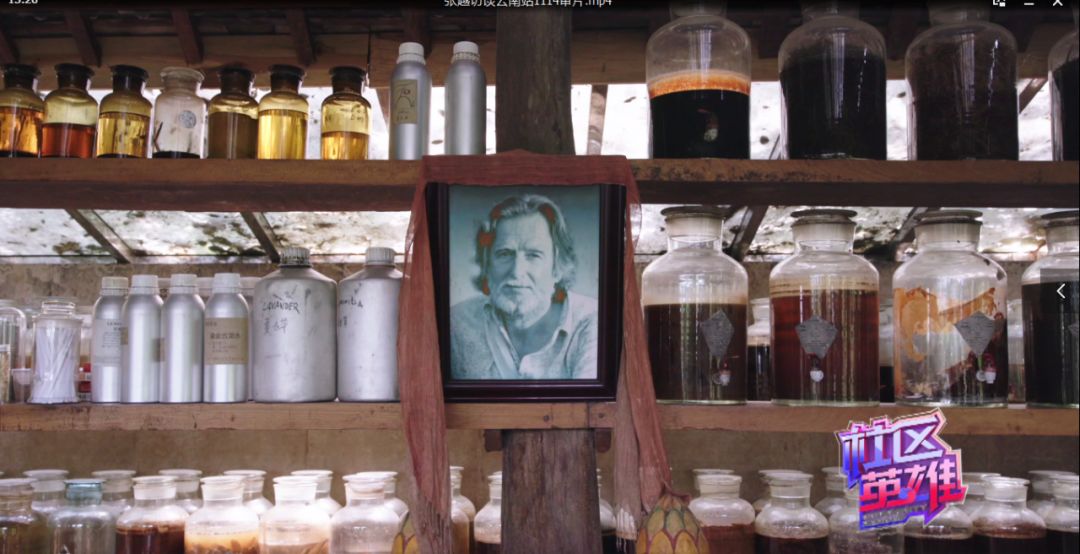 29岁不当记者，追随德国老公守护雨林，两女儿宛如天使，可不上学