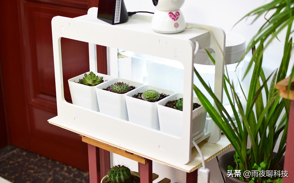 LED种植机体验：黑科技光谱养花，家里的多肉有救了