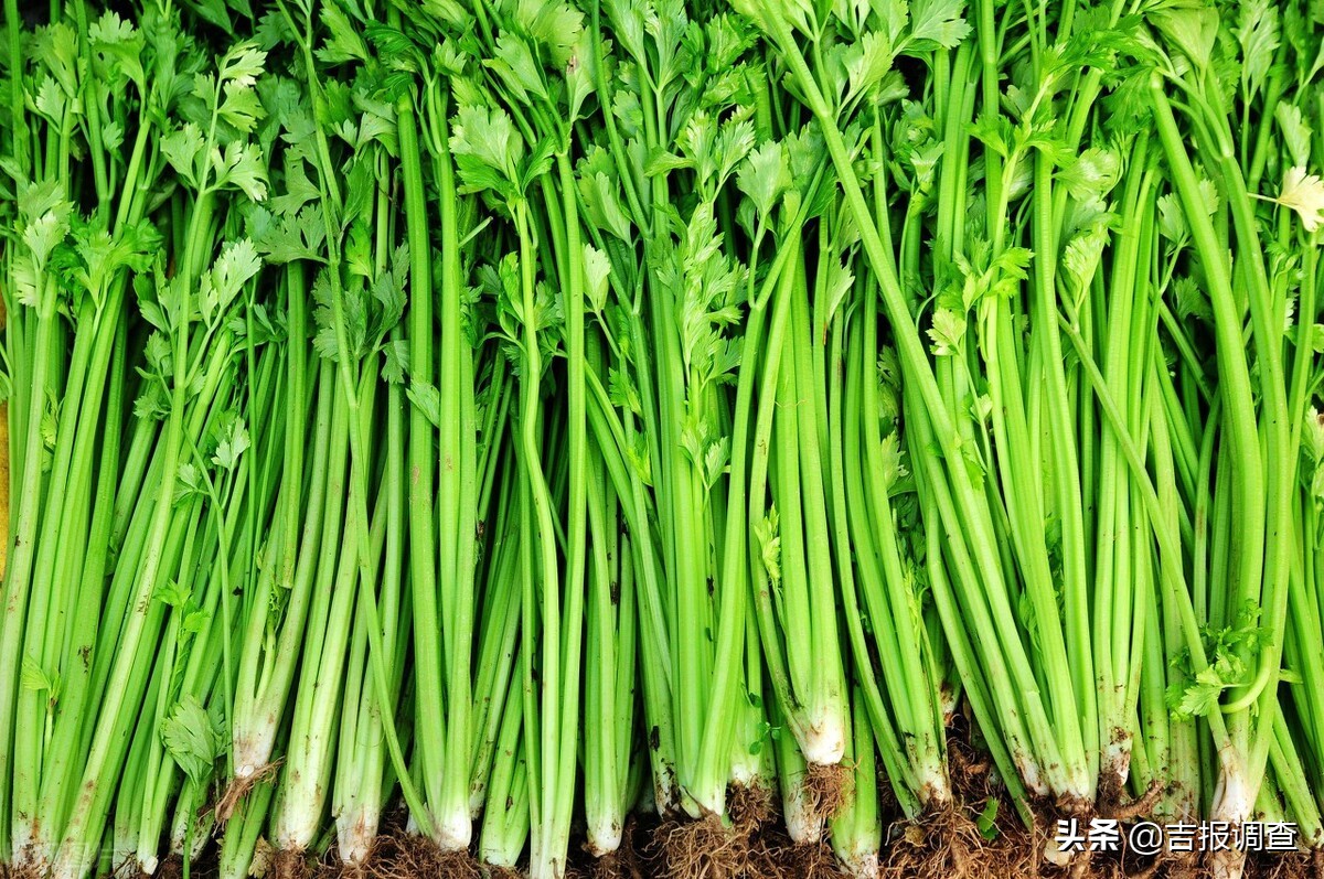 吉林抽检食品不合格名单,吉林省抽检不合格食品名单