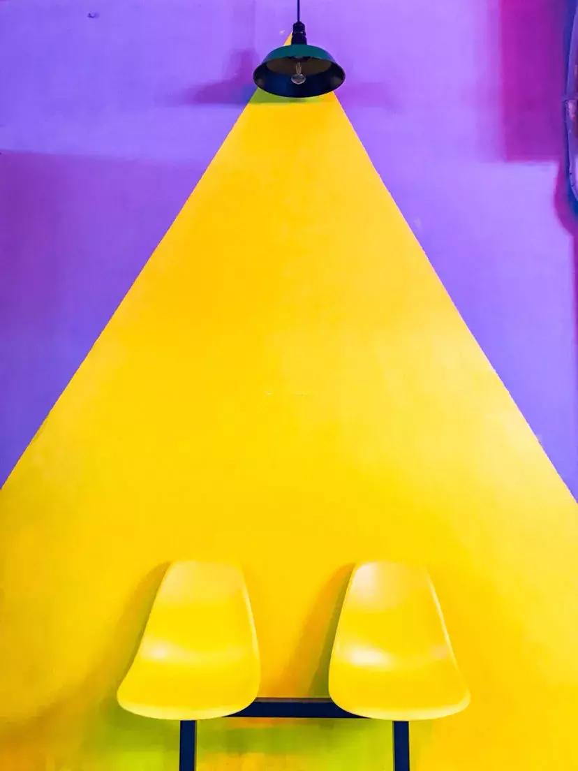 春日赏花深圳,深圳春游赏花