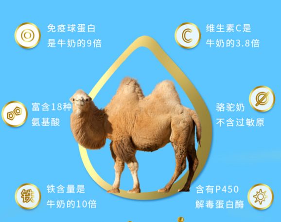 骆驼奶粉合格吗,如何鉴别骆驼奶粉的好坏和真假