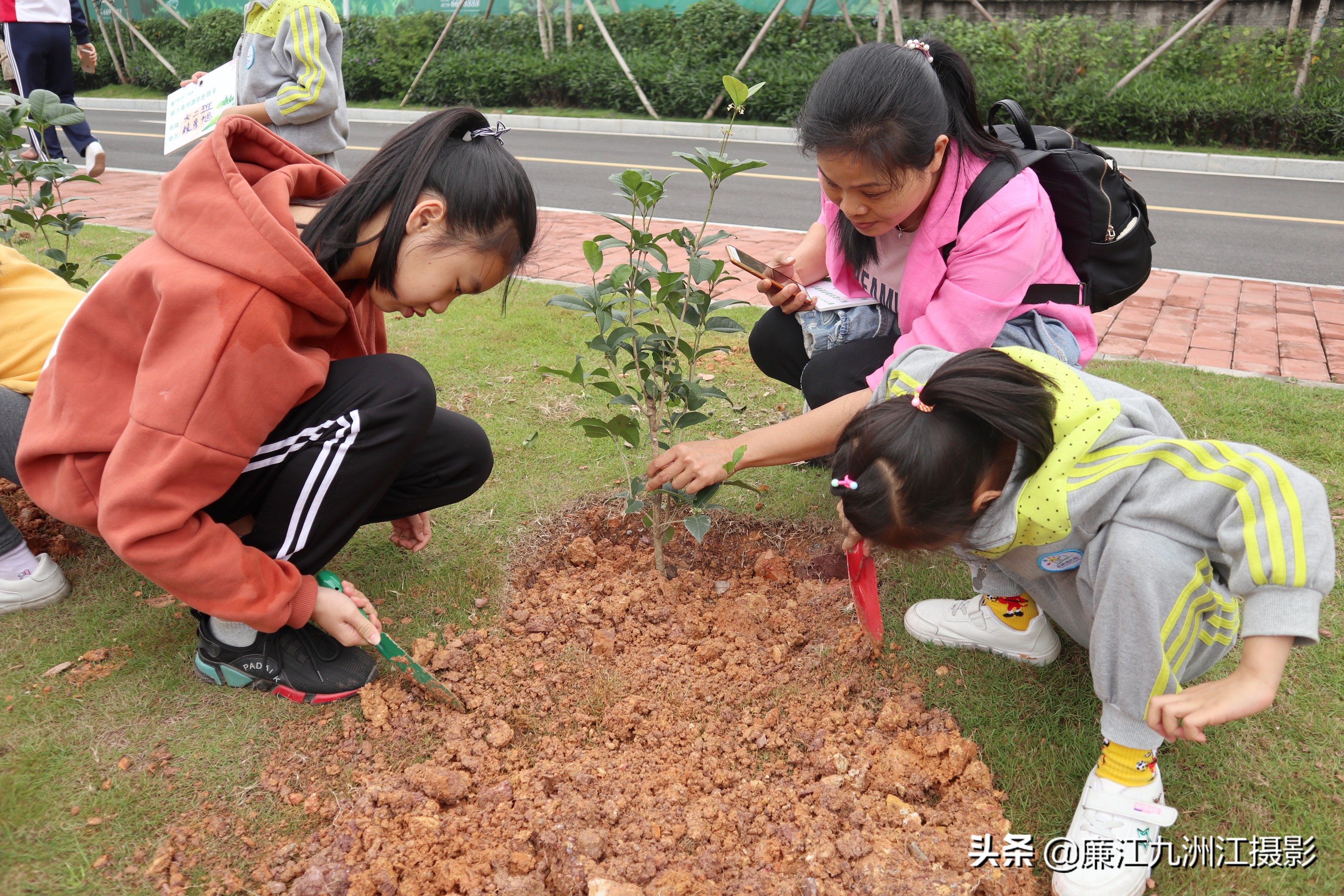 种下希望让梦想发芽舞蹈,种下希望让梦想发芽