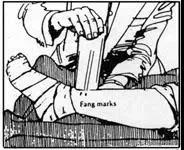 户外爬山三大忌讳,户外有风险爬山需谨慎量力而行