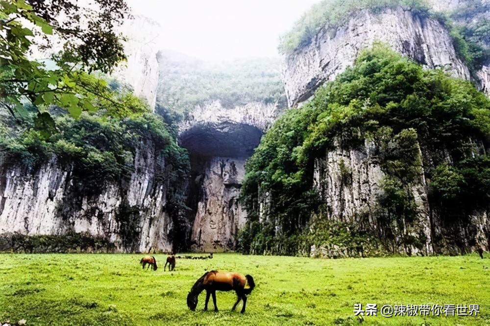 从西到东:贵州——沿河流“黔”行在这里一万种辣椒吃法向你奔来