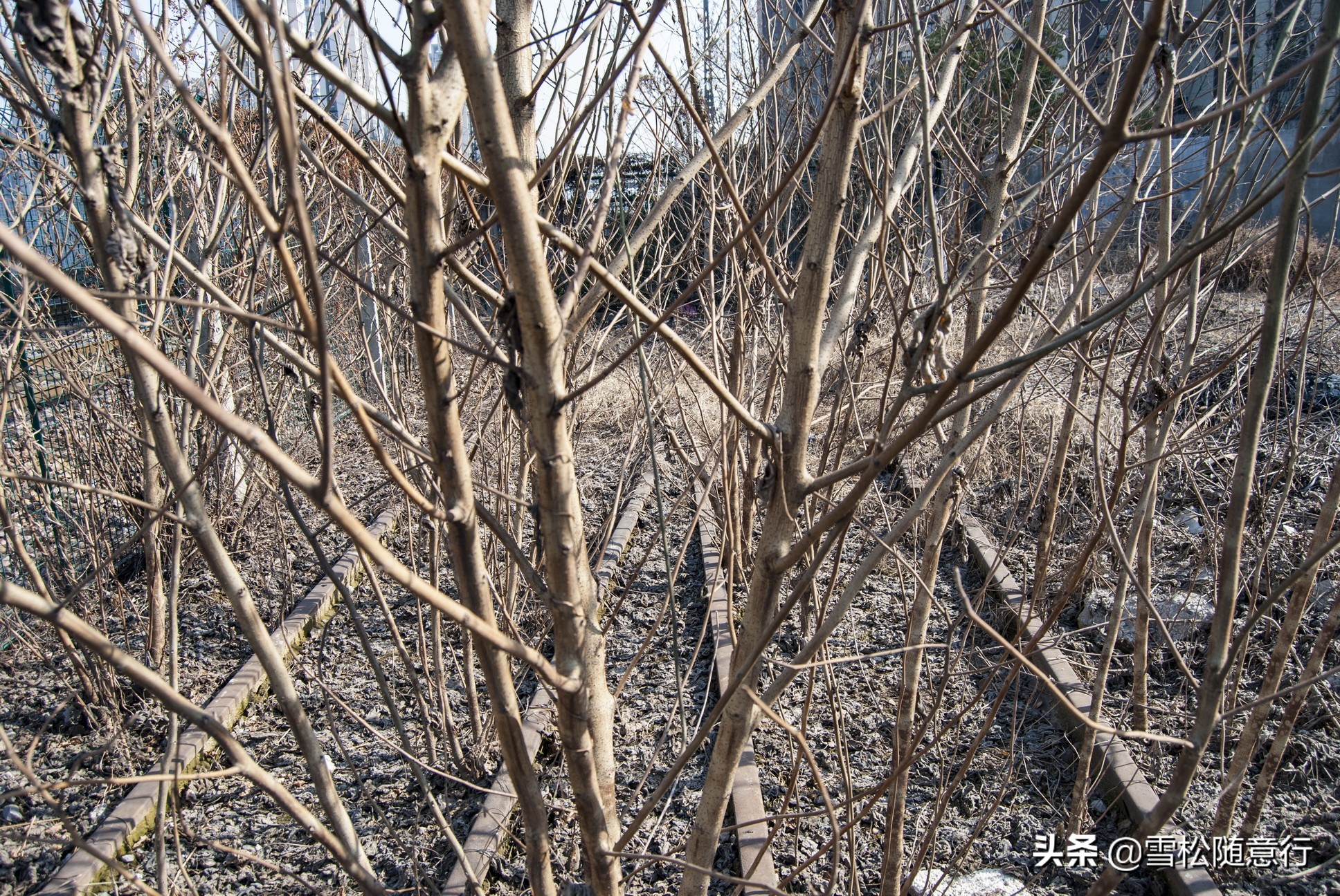 走进旧时的乡村,徐州陇海铁路遗址