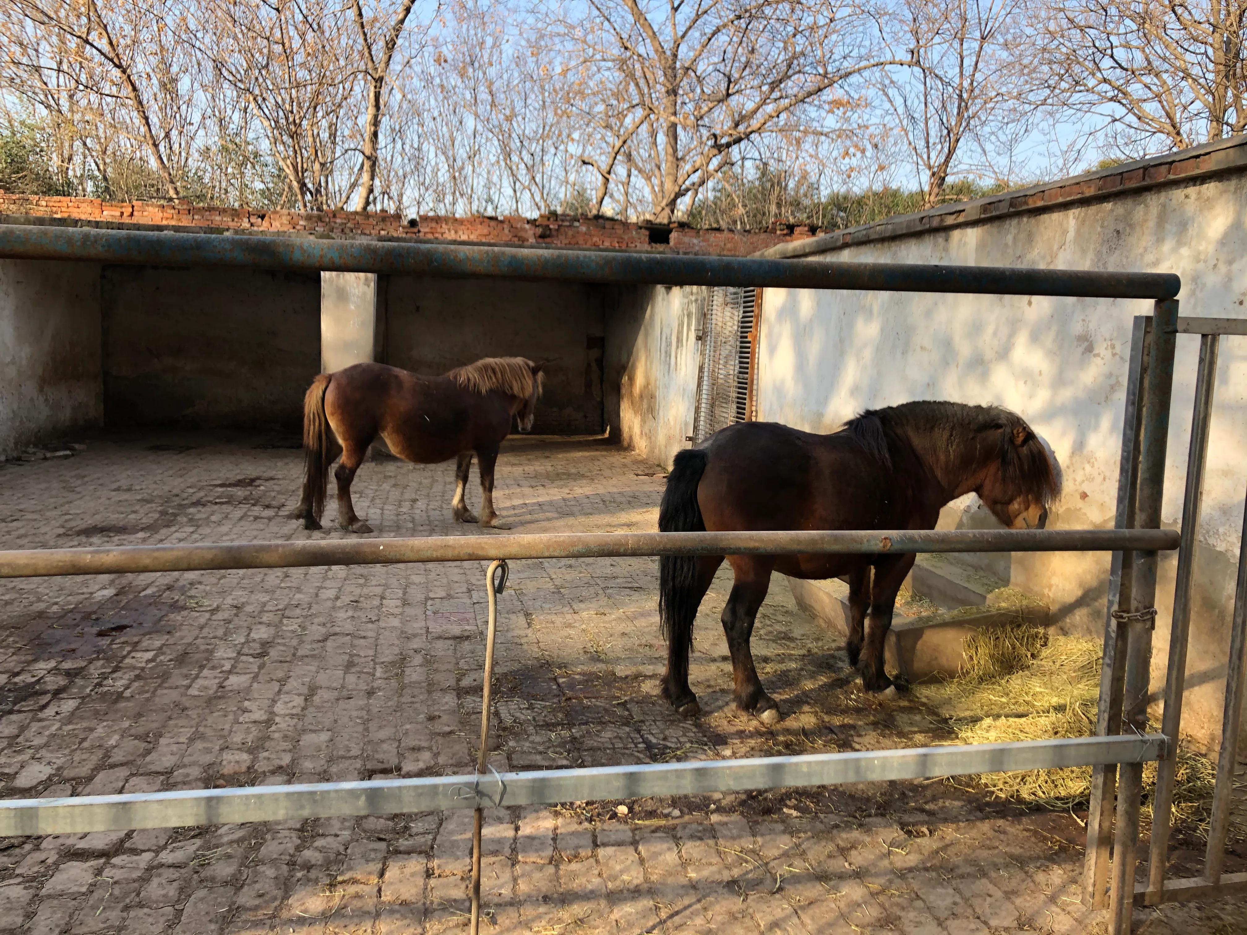 平顶山河滨公园旅游攻略,平顶山森林公园游记