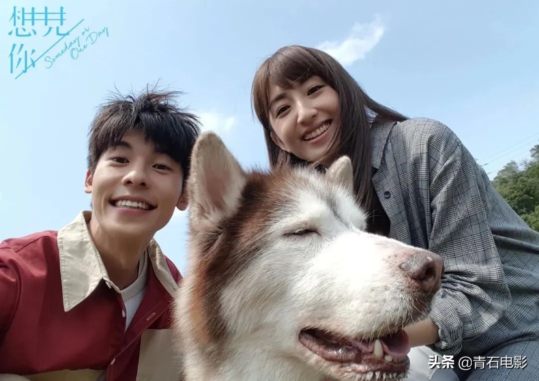 近期5部超好看的爱情台剧推荐,豆瓣评分高的爱情台剧