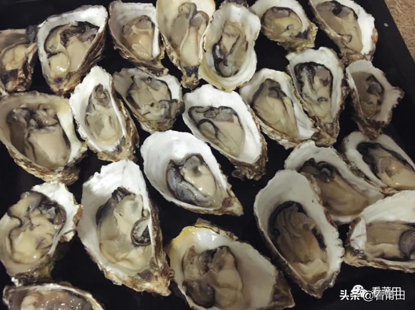 生蚝美味可别忽略背后的风险,三种生蚝不能随便吃