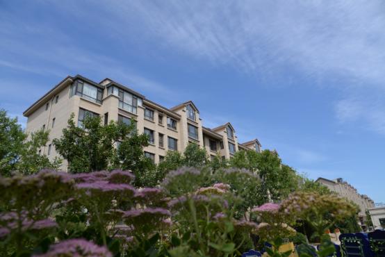 10年如一日,北京这些老小区“青春常驻”