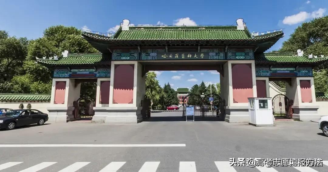 选错专业如何报考,选错专业如何选择职业