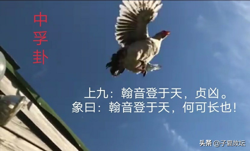 「中孚卦」上九爻辞“翰音登于天，贞凶”破解