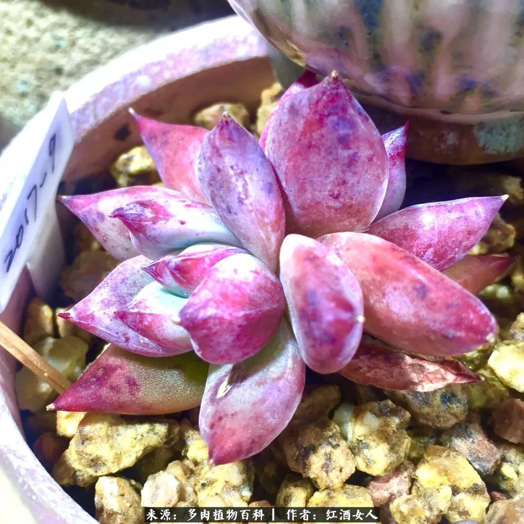 记录走过的美景留下美好的回忆,记录走过的每一段美好时光