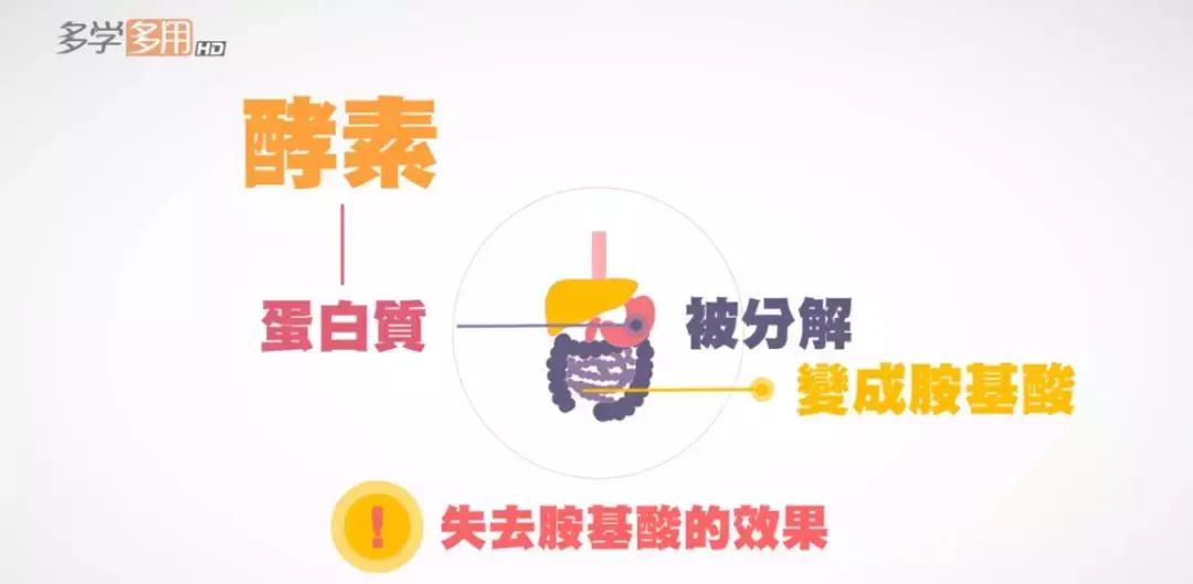 减肥最快效果最好方法酵素,怎么吃酵素减肥效果最好