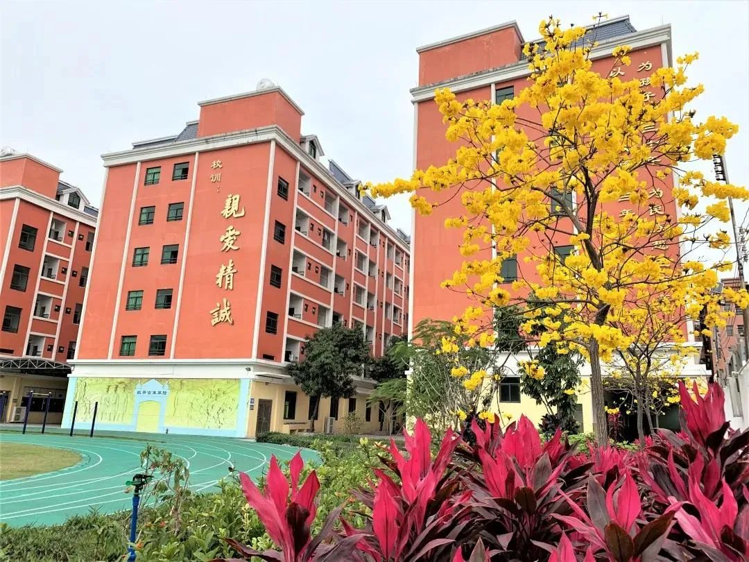 广州白云六中珠江学校有小学吗,广州市六中珠江中学白云校区