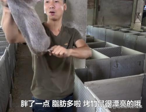 鍗庡啘鍏勫紵鍙嬫儏,鍗庡啘鍏勫紵娌宠竟