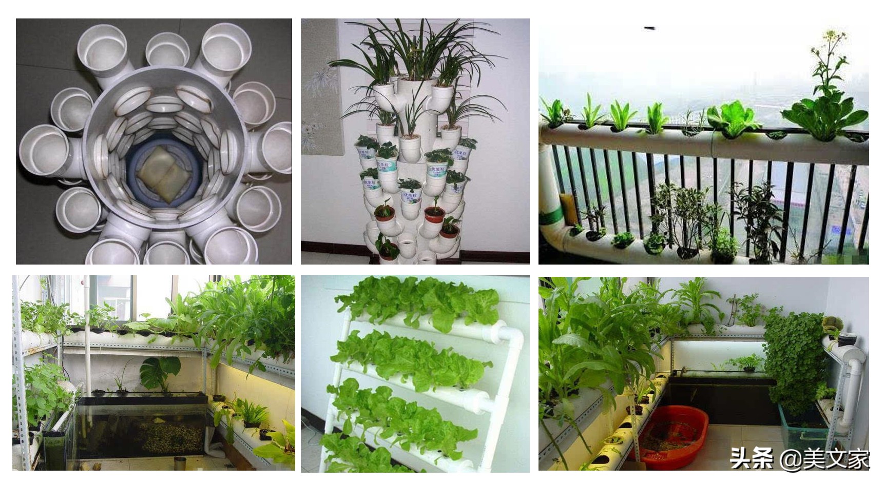 阳台小菜园手把手教你种菜,农家小院立体式种菜技巧