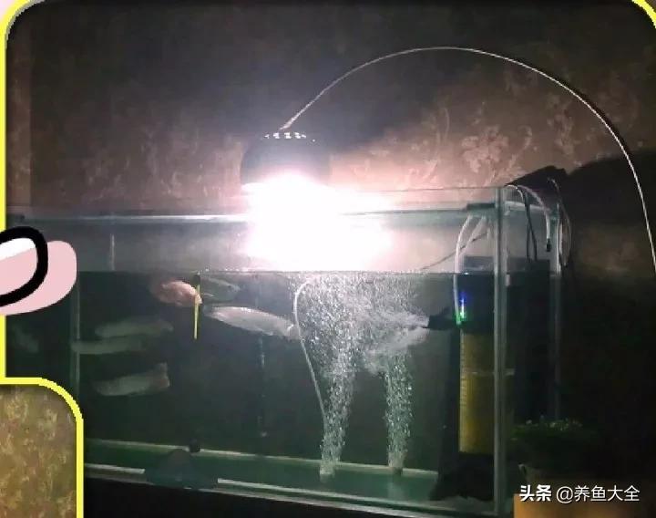 我要离婚老婆不同意,我要离婚老婆也要离婚