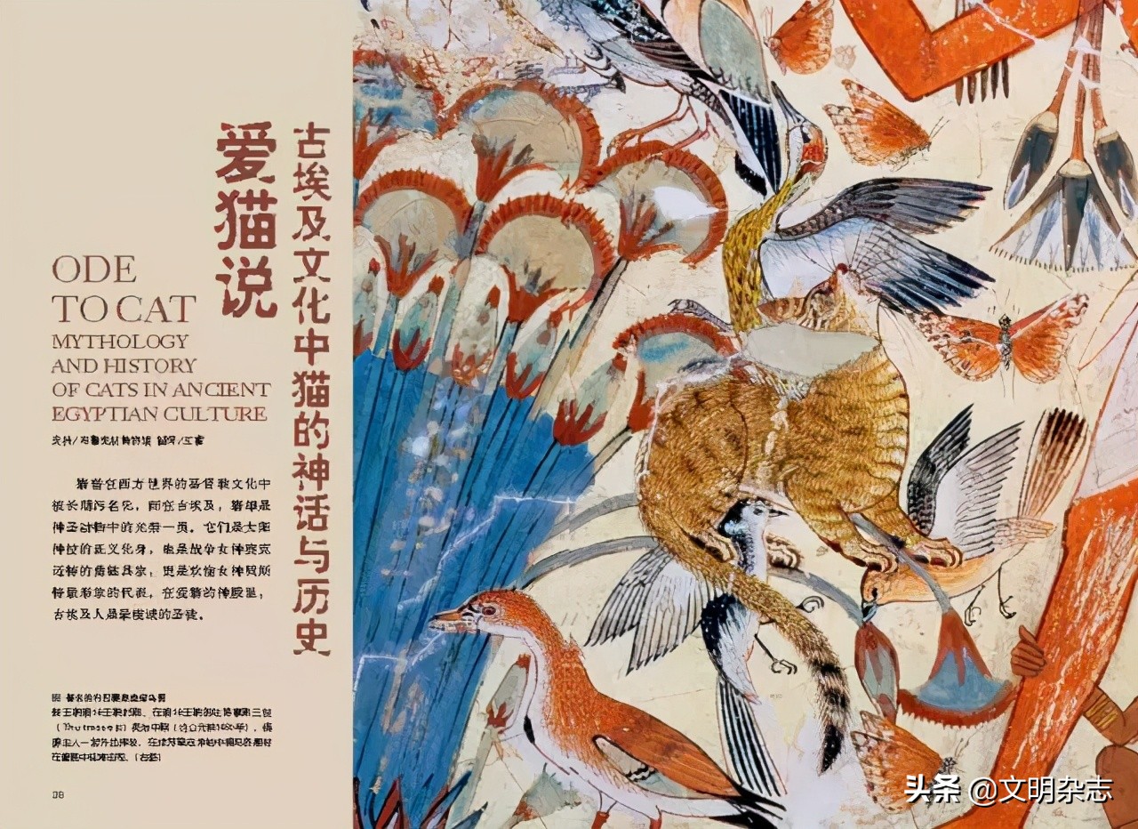 在古埃及神话中的猫传说,古埃及和猫的历史故事