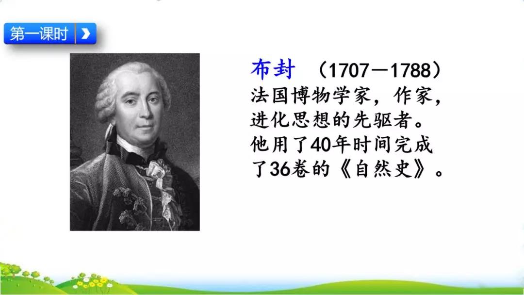 五年级语文第17课松鼠讲解,五年级上册第17课松鼠教材详解