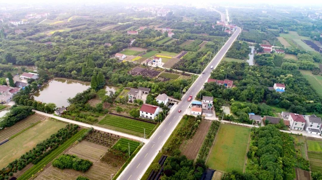 常州金坛最美乡村,金坛有哪些美丽乡村