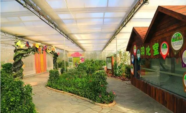 五一北京适合小孩玩的地方植物园,北京夏天带娃避暑最佳旅游地