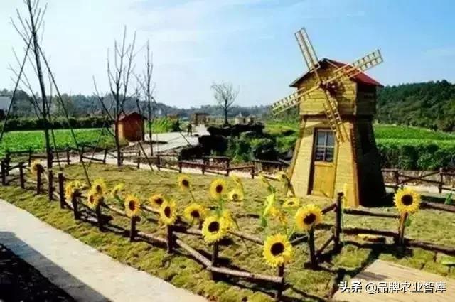 变态的日本农业：敬畏自然、超前思维、死磕单品！