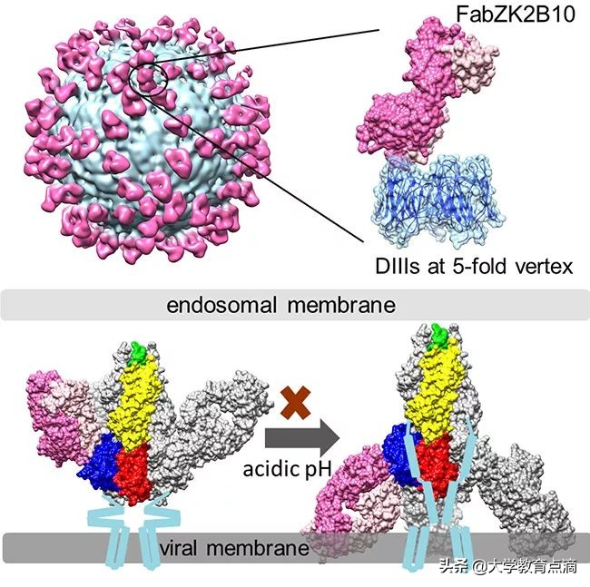清华大学科技成果转化,清华大学重大贡献科研成果