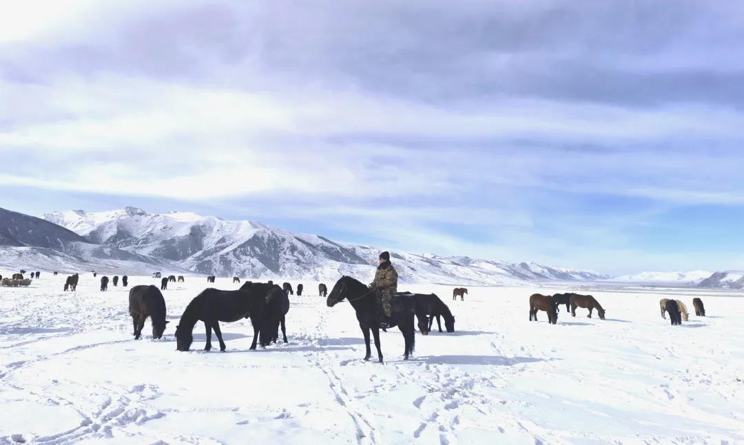 兵哥哥骑马最有霸气,兵哥哥骑马第一视角