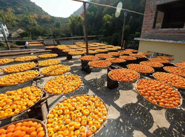 河源万绿湖特产霸王花米粉,河源龙川有什么本地特产