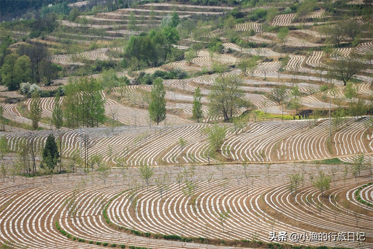 一到盛夏这座小城就是避暑胜地,哪些地方适宜避暑养老旅游