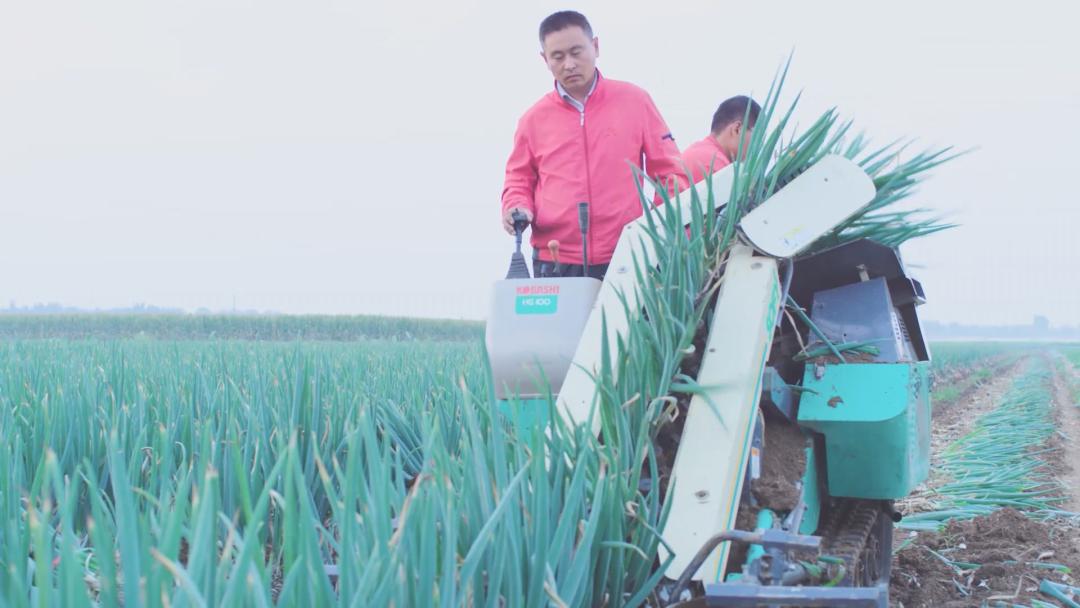 希望的田野播种希望的种子,希望的田野丰收的种子