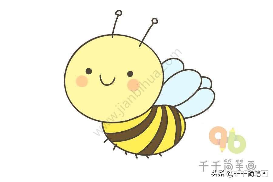 昆虫简笔画和介绍,昆虫简笔画及简介