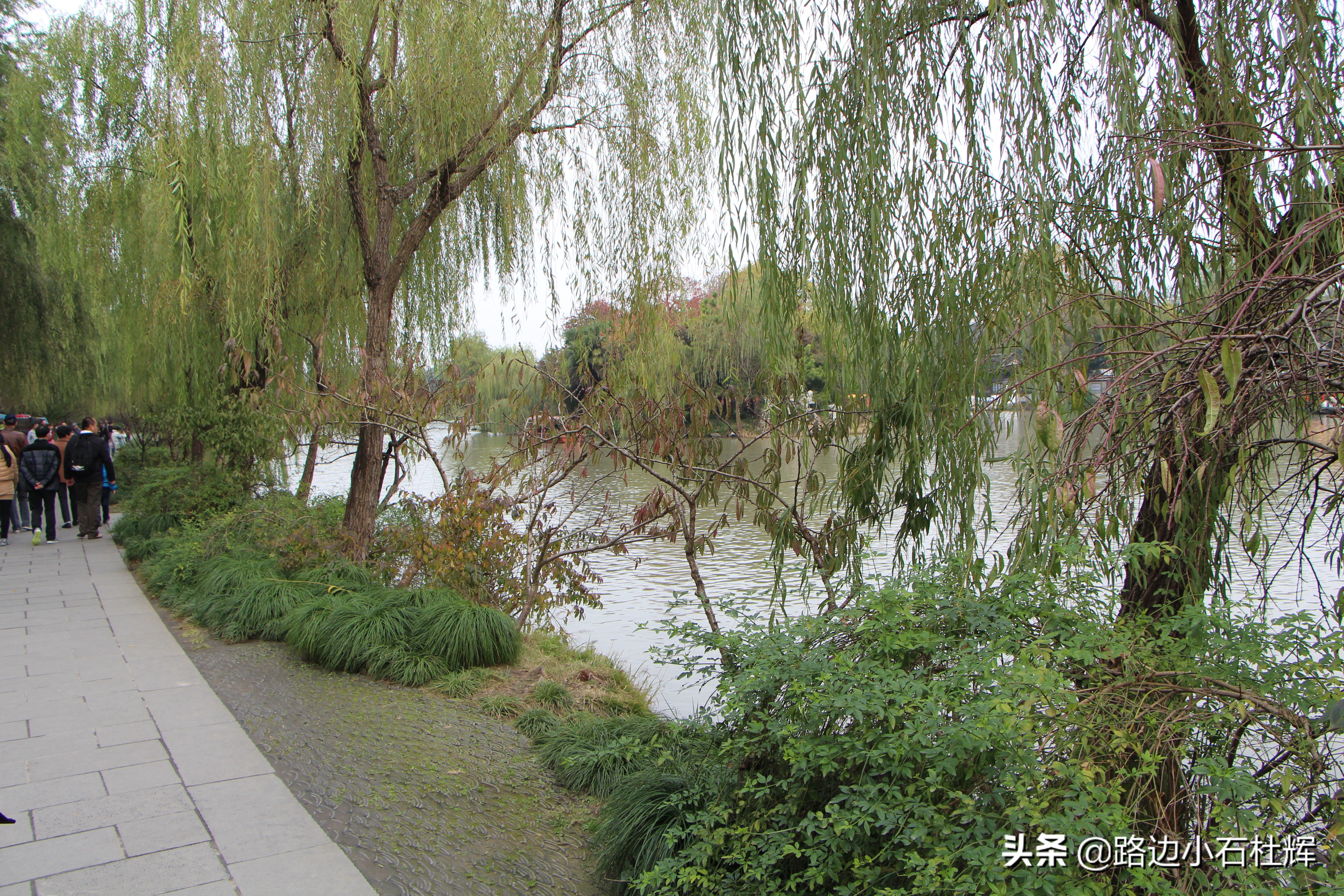 扬州瘦西湖之行,扬州瘦西湖游一圈