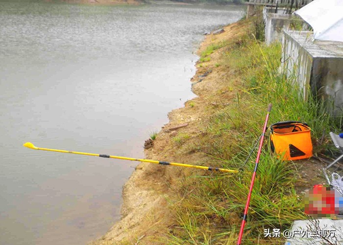 不会打窝的钓友看过来,这些正确打窝方法请收下,早看早受益