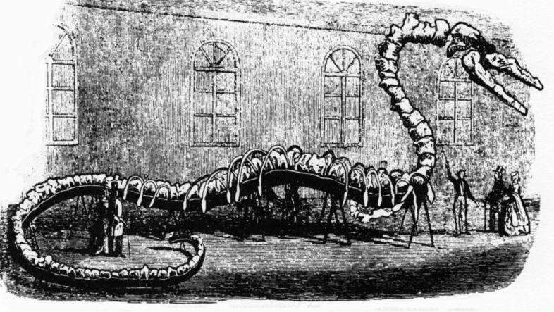 有图有真相有依据,有图有真相眼见为实