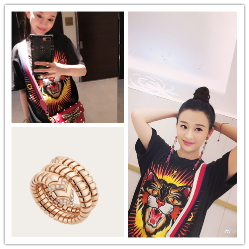 陈昱霖的奢侈品,陈昱霖同款珠宝包