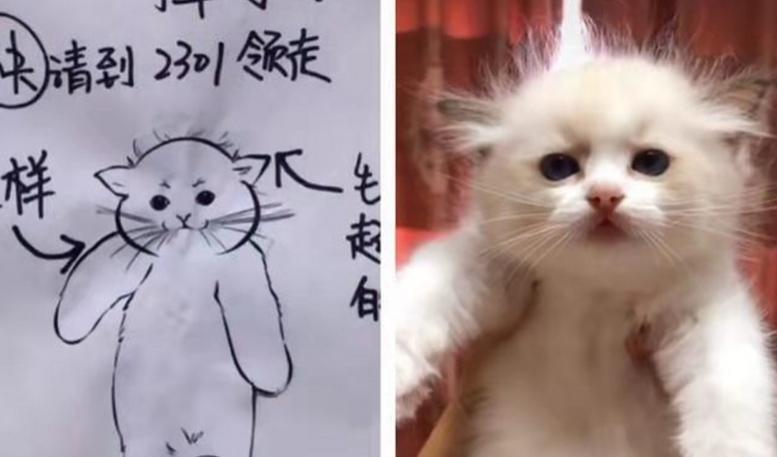 画狗寻狗启事搞笑,寻狗启事画像搞笑