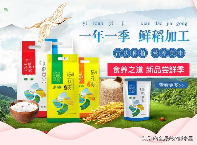 C位出道的窝窝头,哪款东北大米最好